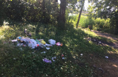 Проведение субботников. Посадка деревьев