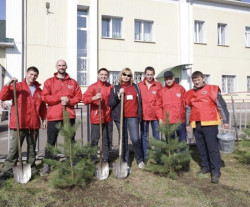 Посадка деревьев