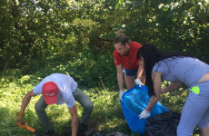 Проведение субботников. Посадка деревьев