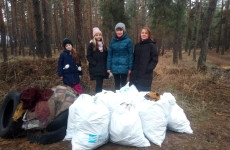 Проведение субботников. Посадка деревьев