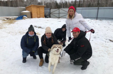 Помощь приюту для собак и кошек ХАСКИЕКБ БФПЖ "Счастье в дом"