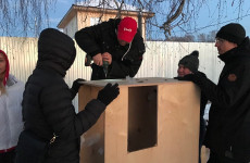 Помощь приюту для собак и кошек ХАСКИЕКБ БФПЖ "Счастье в дом"